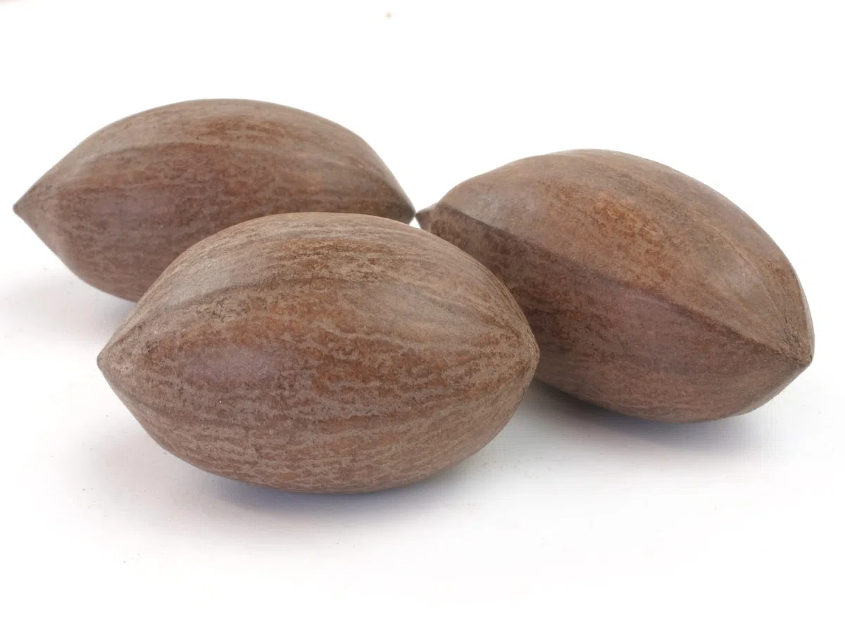 TALI Pekannüsse in der Schale 1 kg