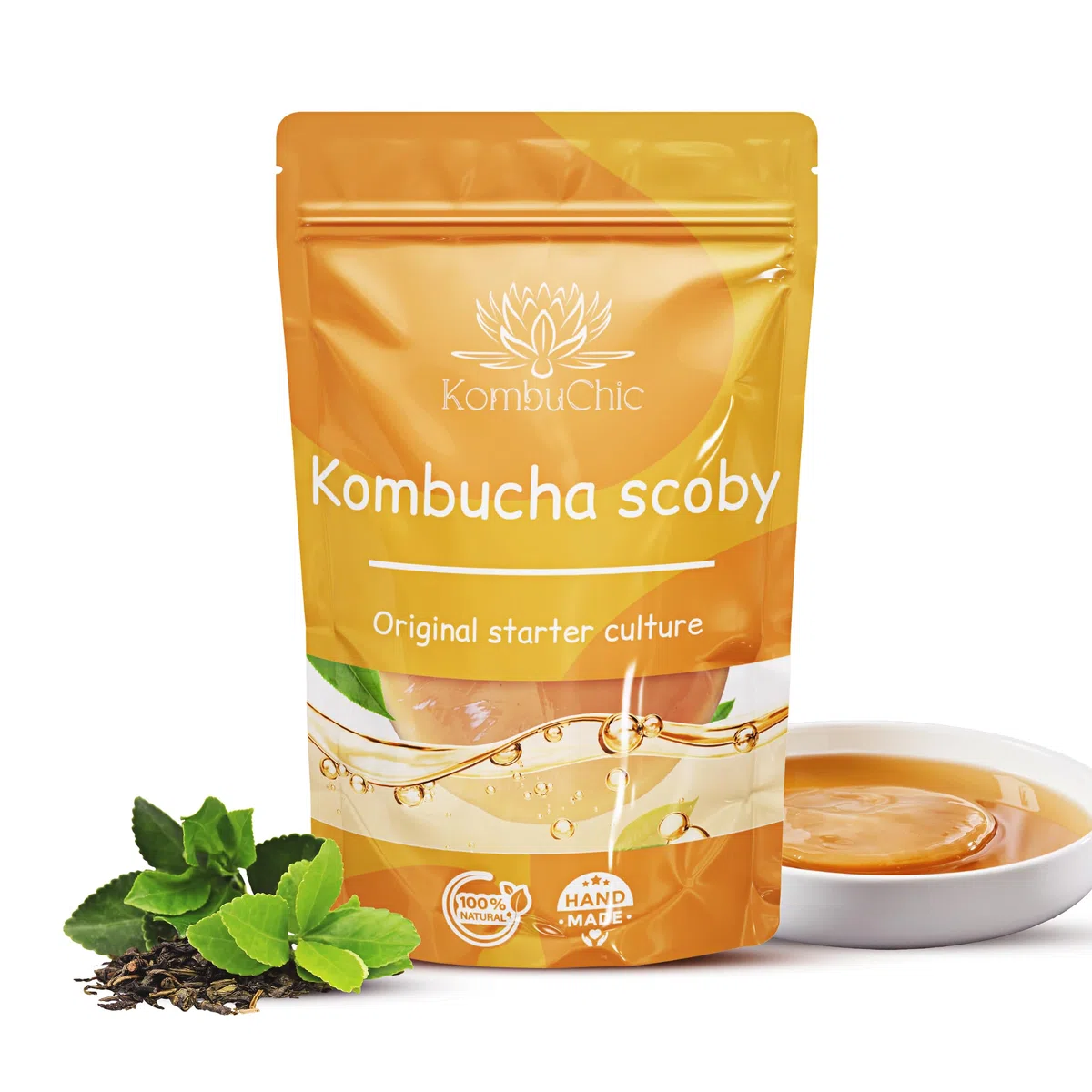 KombuChic | Kombucha Scoby Starter-Set Teepilz + Zubereitungstipps, Grundrezeptsanleitung + kostenloses eBook