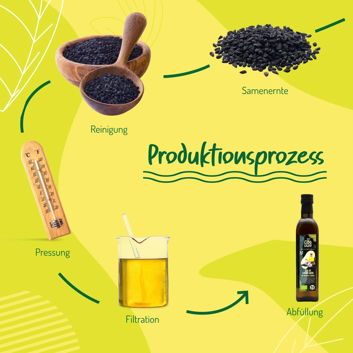 Schwarzkümmelöl Bio Kaltgepresst - 500 ml. Nigella Schwarzkümmelöl Reich an Omega-6 und Omega-9 Kümmelöl für kalte Gerichte, Salate & vegane Küche. Black Seed Oil.
