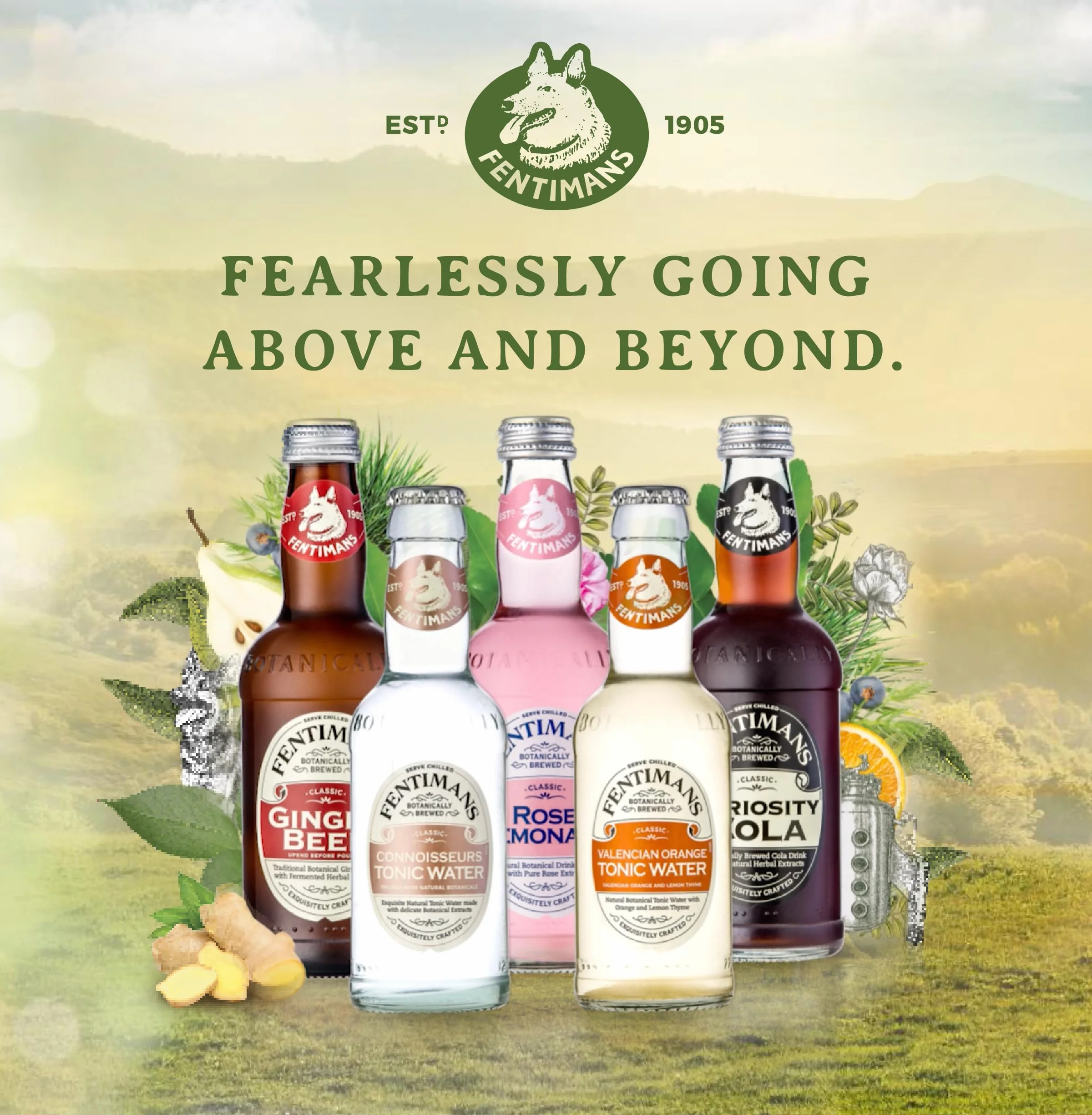 Fentimans Connoisseurs Tonic Water 4x 200ml