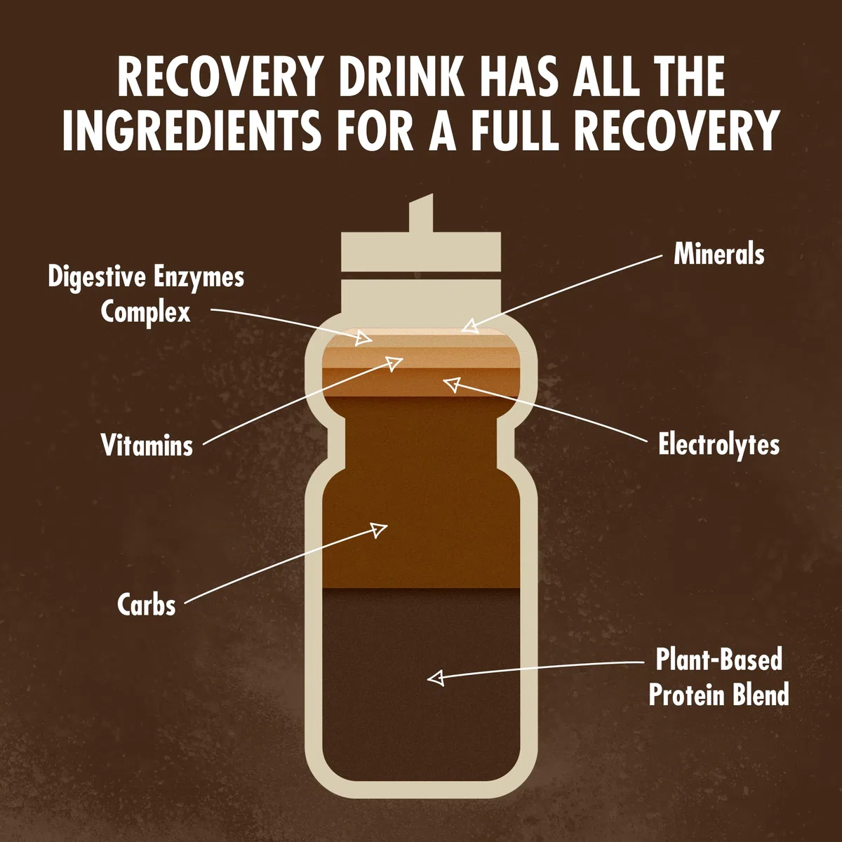 HIGH5 Recovery Drink - Protein Pulver (Whey Protein) & Kohlenhydrate Pulver für Muskelaufbau - Elektrolyt Pulver für Hydration & Regeneration - Post Workout Shake (Pflanzliche Schokolade, 450g, 9x)