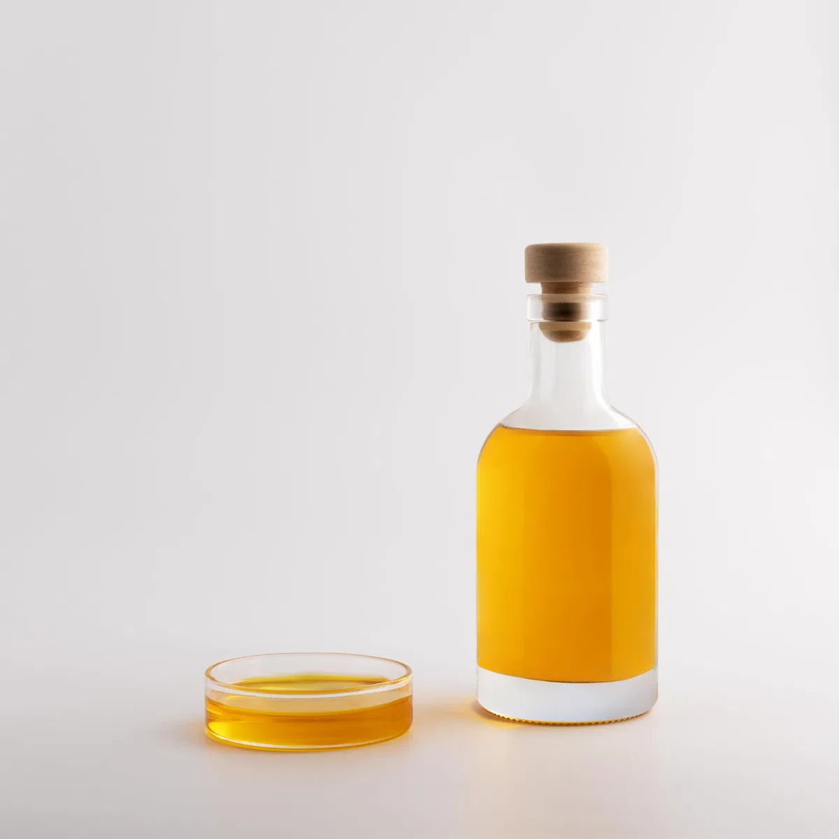Scheidler horse-direkt Rapsöl 100% kaltgepresst, 5 Liter Kanister, reines Rapsöl, Pflanzenöl