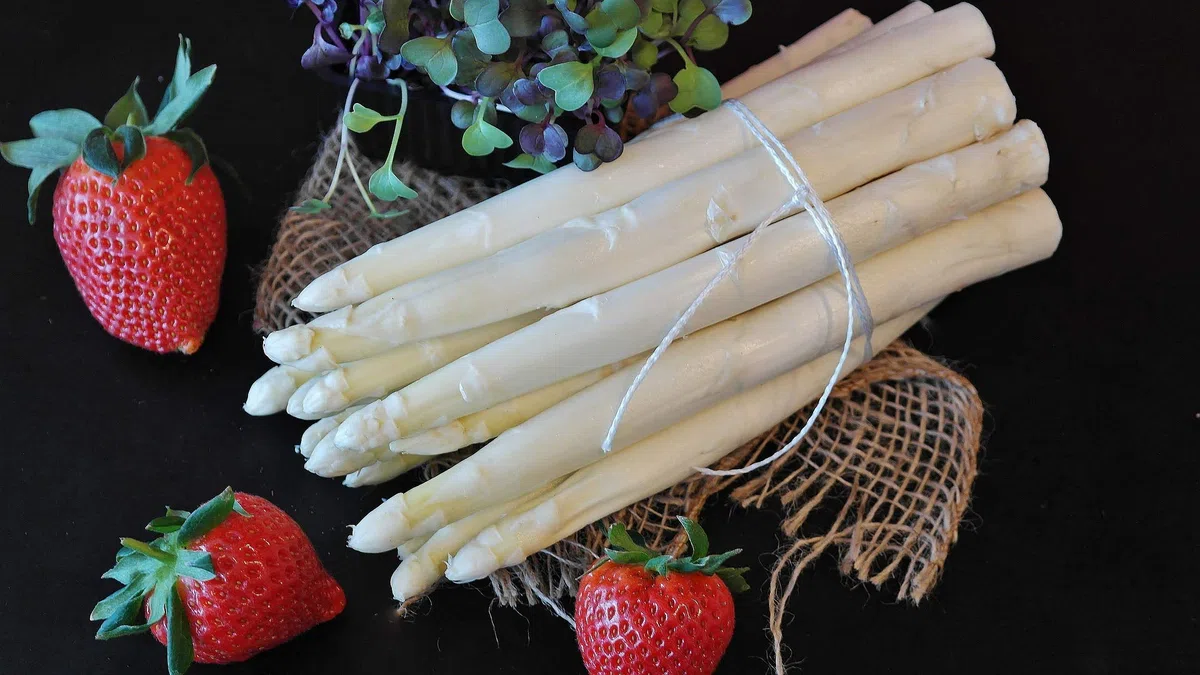 Frischer Spargel weiß aus Deutschland, Holland, Spanien oder Griechenland 1 kg Gebinde