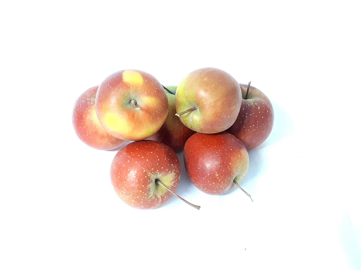 Äpfel Rubinette sehr ähnlich wie Cox Orange vom Bodensee aromatisch süß- säuerlicher, knackig und saftiger Apfel 5 KG