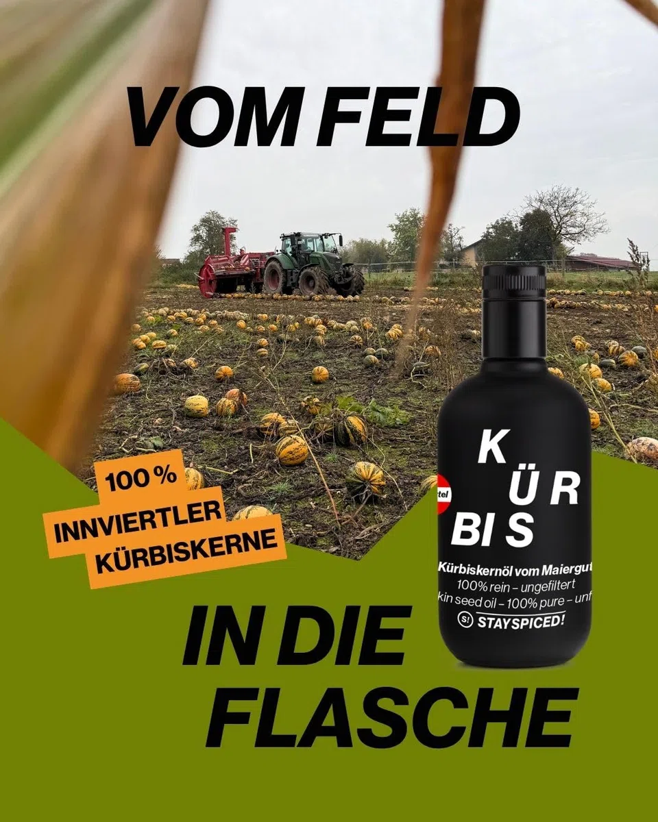 STAY SPICED! Kürbiskernöl vom Maiergut 500 ml – 100% Innviertler Kürbiskerne • ungefiltert & naturrein • intensiv nussig & tiefgrün
