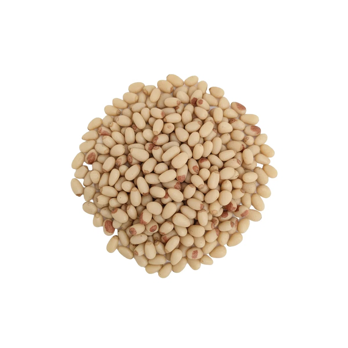 Spicy Welt Pinienkerne Ganz (250g) – Baby Pinienkerne für Pesto, Pasta, Salat, Backen und Mediterrane Küche | Ungesalzen, Nussig und Vielseitig | 100% Naturrein, Ohne Zusätze