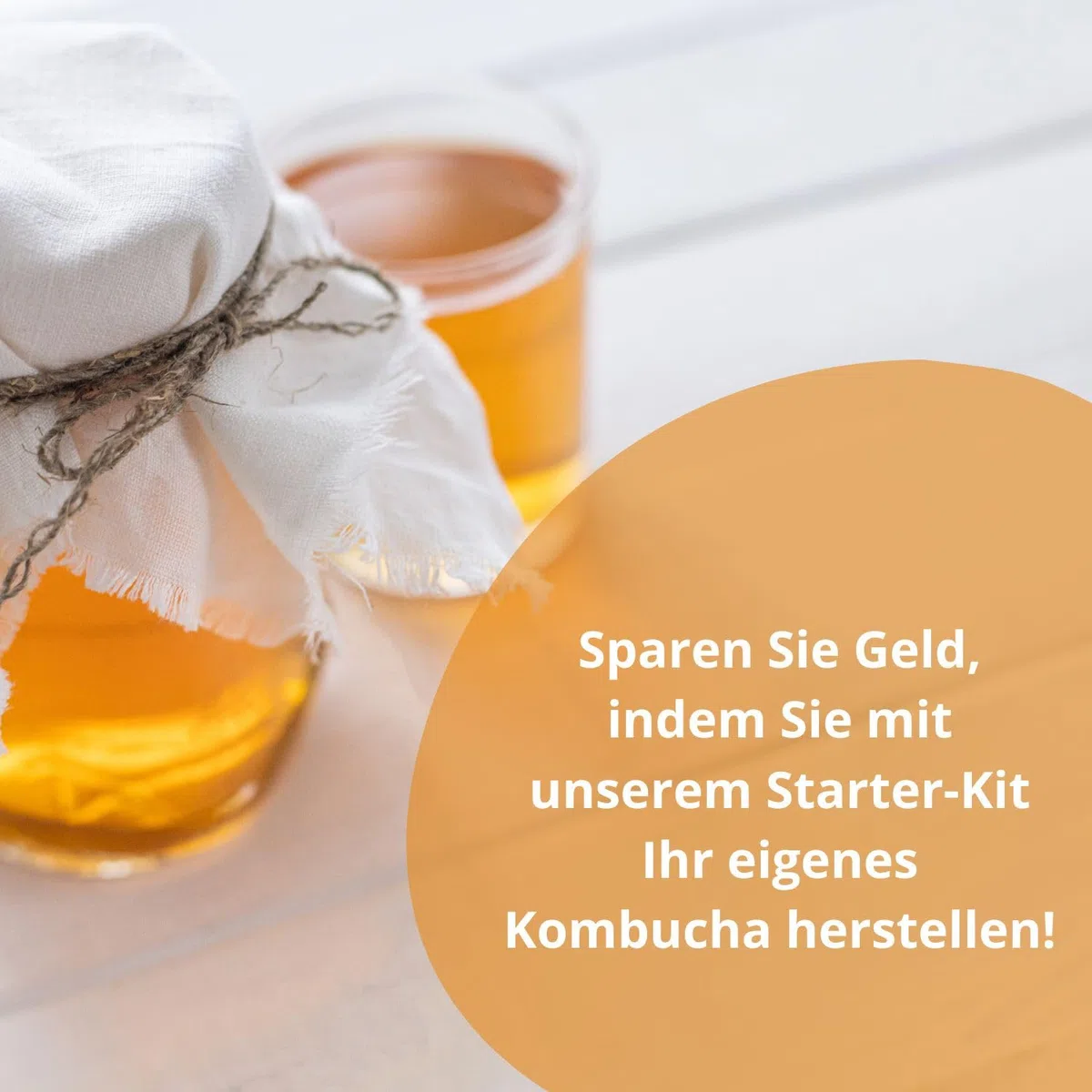 KombuChic | Kombucha Scoby Starter-Set Teepilz + Zubereitungstipps, Grundrezeptsanleitung + kostenloses eBook