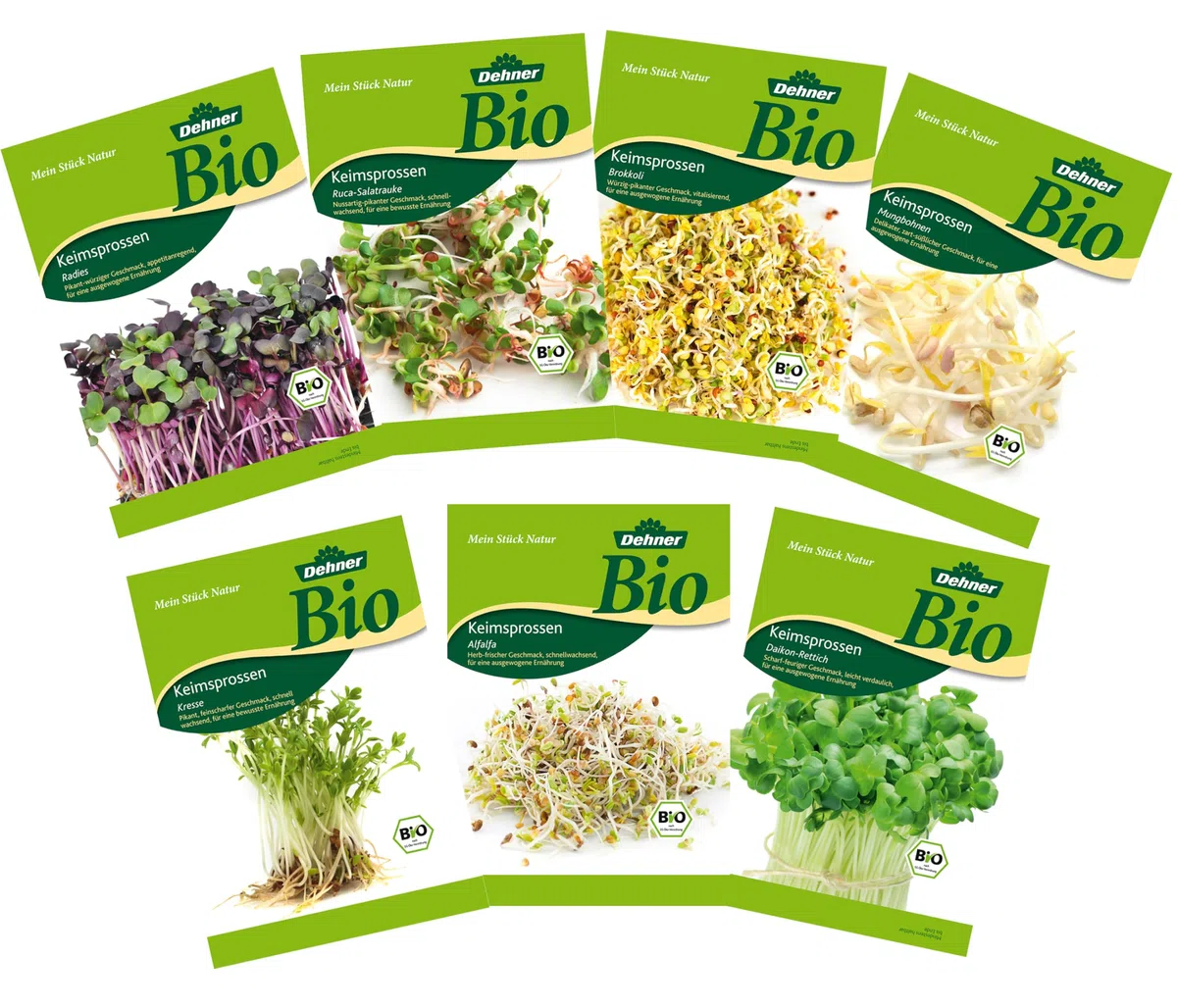Dehner Bio Keimsprossen, Sprossensaat Mix, Kresse/Alfalfa/Daikon-Rettich/Radies/Ruca-Salatrauke/Brokkoli/Mungbohnen, 7 Sorten x 75 g (525 g), Bunt