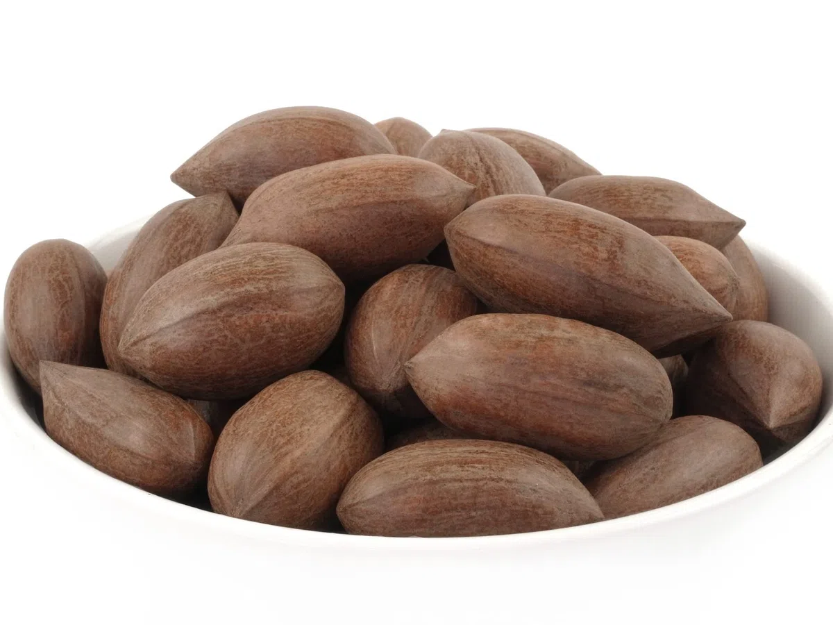 TALI Pekannüsse in der Schale 1 kg