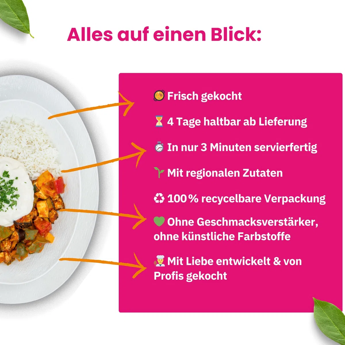 LUNCH4YOU Fertiggerichte – frisch zubereitet und gekühlt geliefert | Hausgemachtes Fertigessen, gesunde Mahlzeit & schnelles Essen für die Mikrowelle | 6 x 500g – Flavour Style Box
