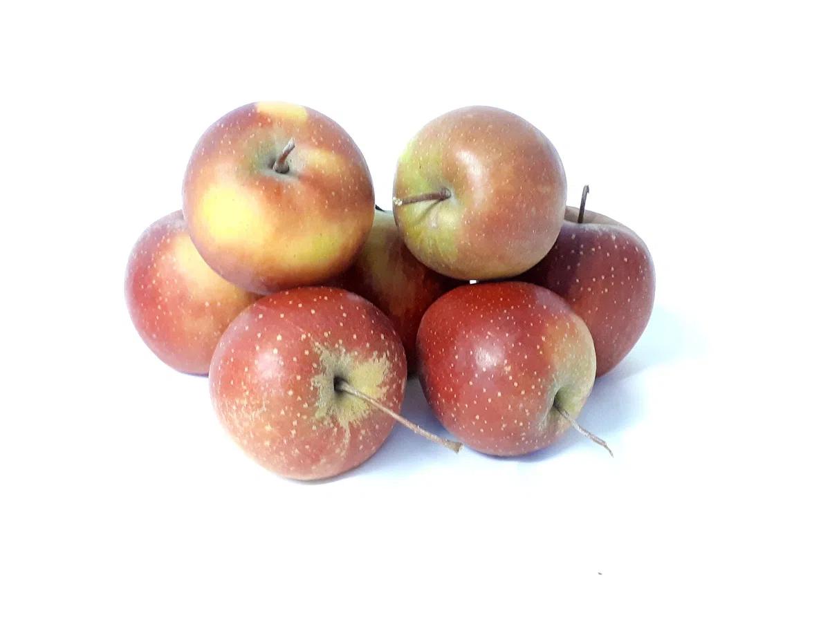 Äpfel Rubinette sehr ähnlich wie Cox Orange vom Bodensee aromatisch süß- säuerlicher, knackig und saftiger Apfel 5 KG