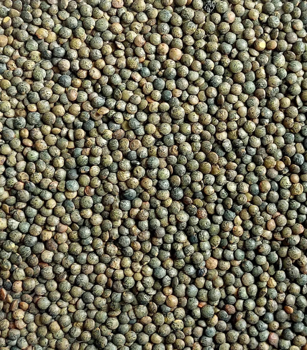 Linsen, grün - Lentilles du Puy, traditioneller Anbau, Frankreich, 5 kg