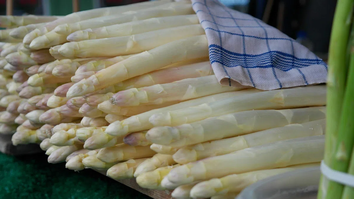Frischer Spargel weiß aus Deutschland, Holland, Spanien oder Griechenland 1 kg Gebinde