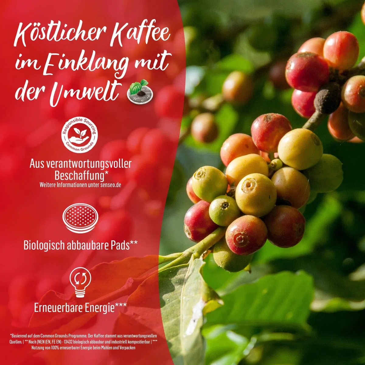 Senseo Pads Decaf Enkoffeiniert, 5 x 16 Getränke, 80 Kaffeepads