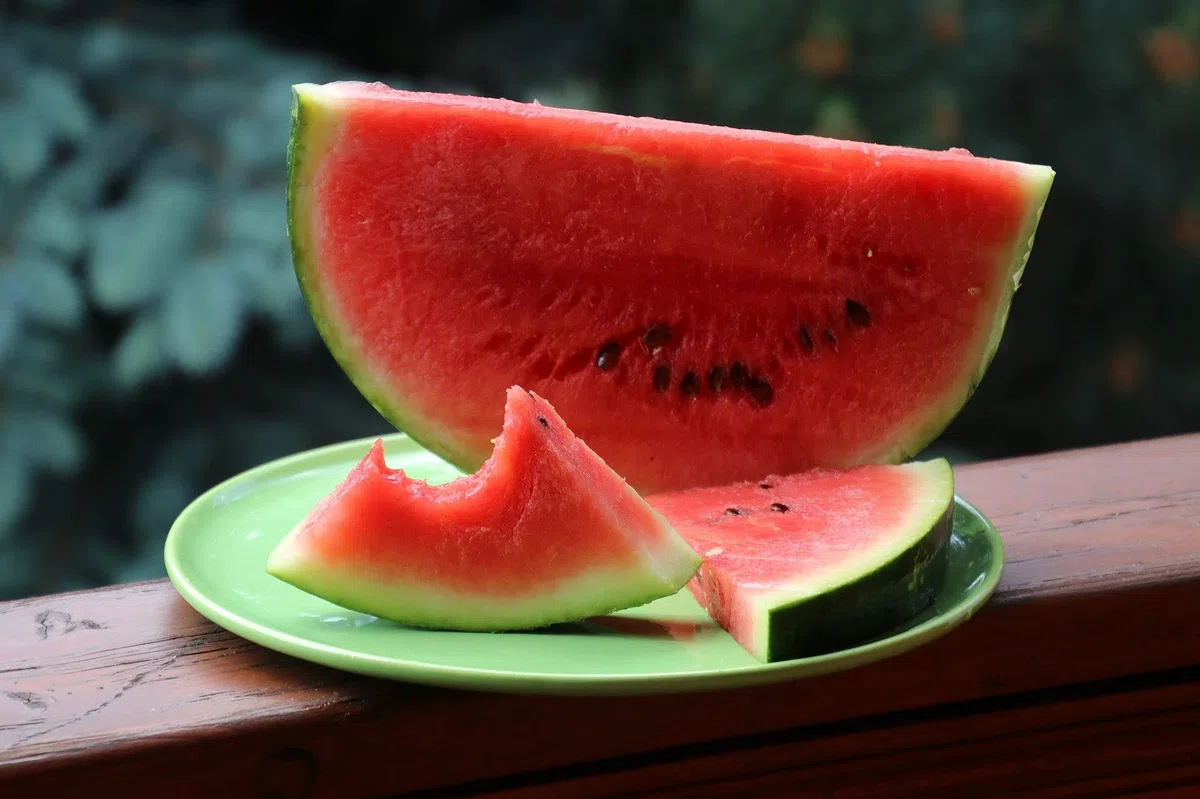 Wassermelonen Große Frucht
