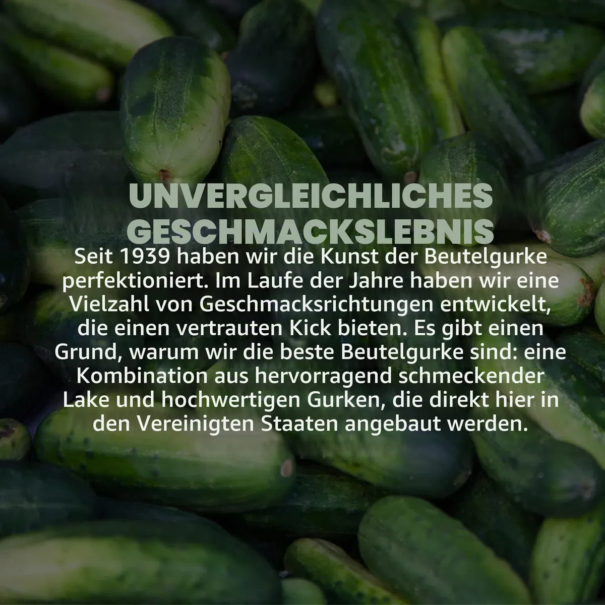 Van Holten's Pickles Sour Sis Pickle-In-A-Beutel, 6 Stück
