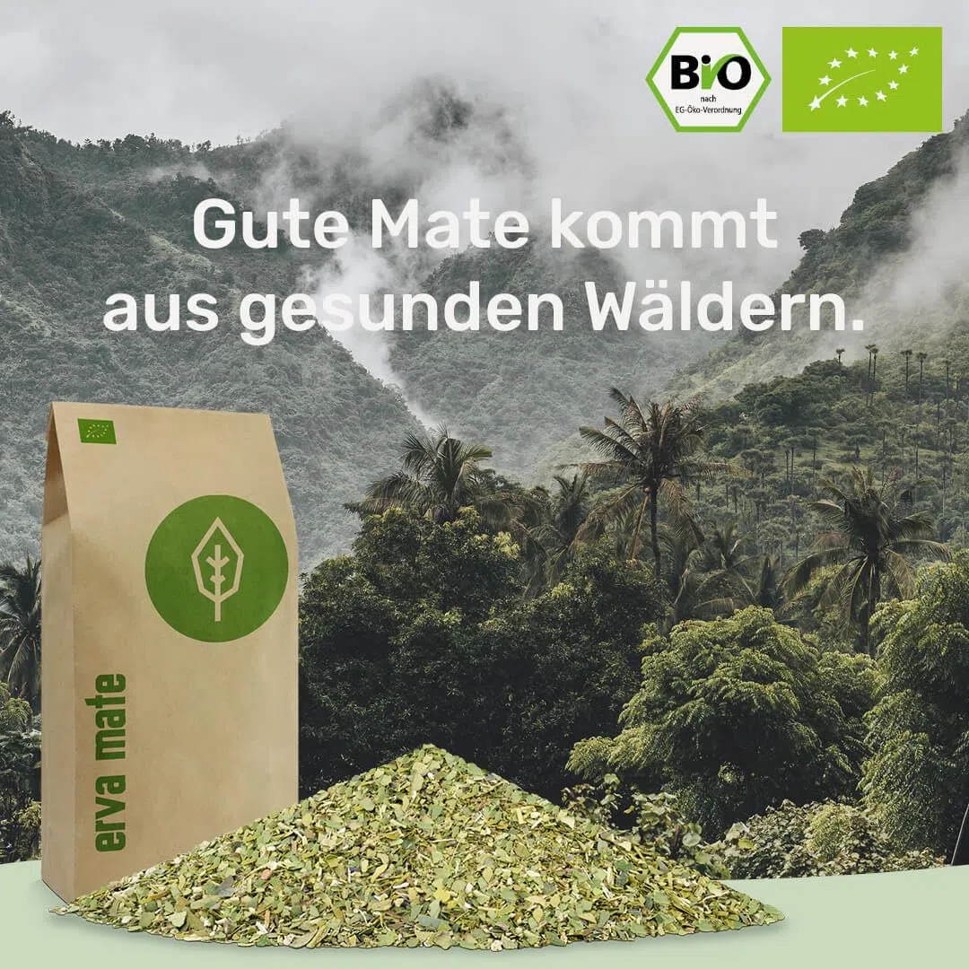 Mate Tee Probierset ● 4 Bio Matesorten ● je 100g Erva Mate + Yerba Mate + grüner Matetee + gerösteter Matetee