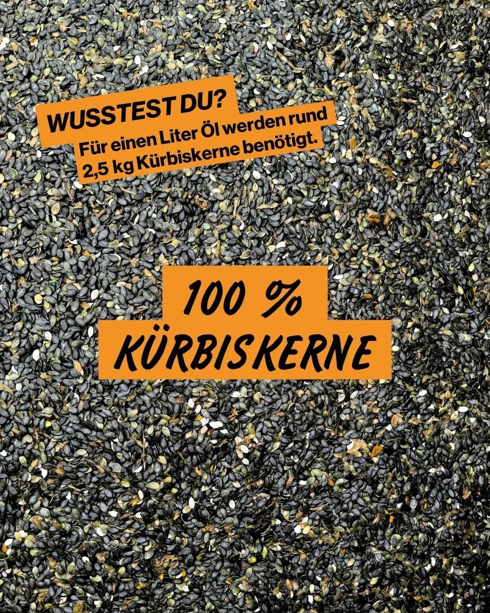 STAY SPICED! Kürbiskernöl vom Maiergut 500 ml – 100% Innviertler Kürbiskerne • ungefiltert & naturrein • intensiv nussig & tiefgrün