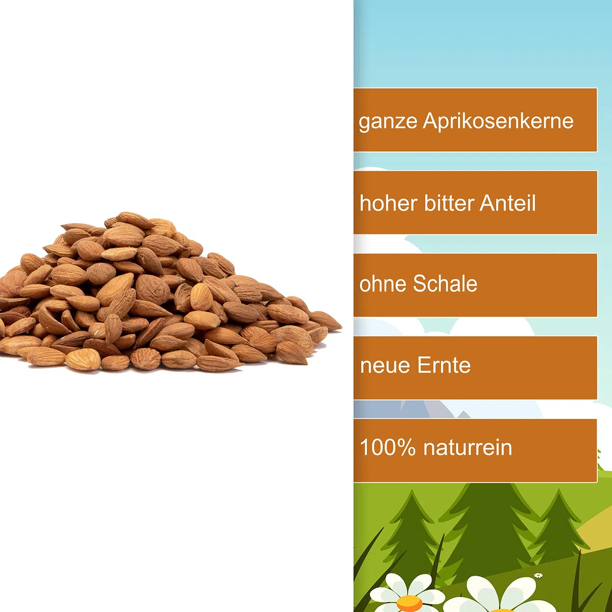 Aprikosenkerne bitter 1kg bittere ganze Aprikosenkerne ungesalzen ungeröstet naturbelassen ganze Kerne extra hoher bitter Anteil - 100% naturreines unbehandeltes Naturprodukt (1kg)