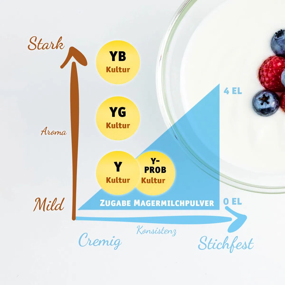 YG Joghurtkulturen 15g griechische Art, Joghurt selber Machen, Joghurtkultur, Ferment