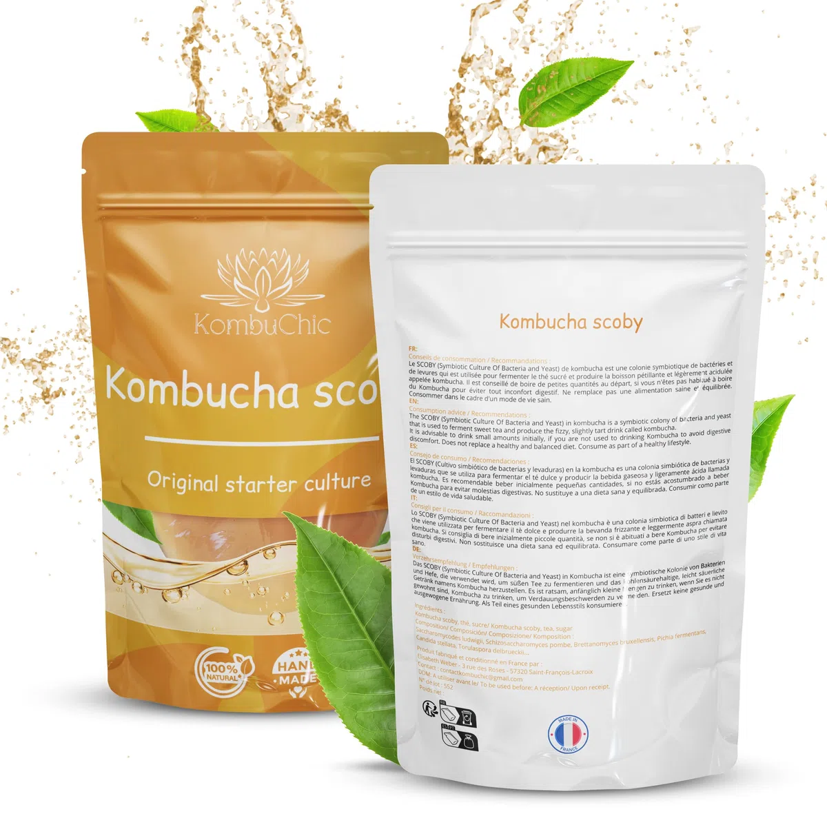 KombuChic | Kombucha Scoby Starter-Set Teepilz + Zubereitungstipps, Grundrezeptsanleitung + kostenloses eBook