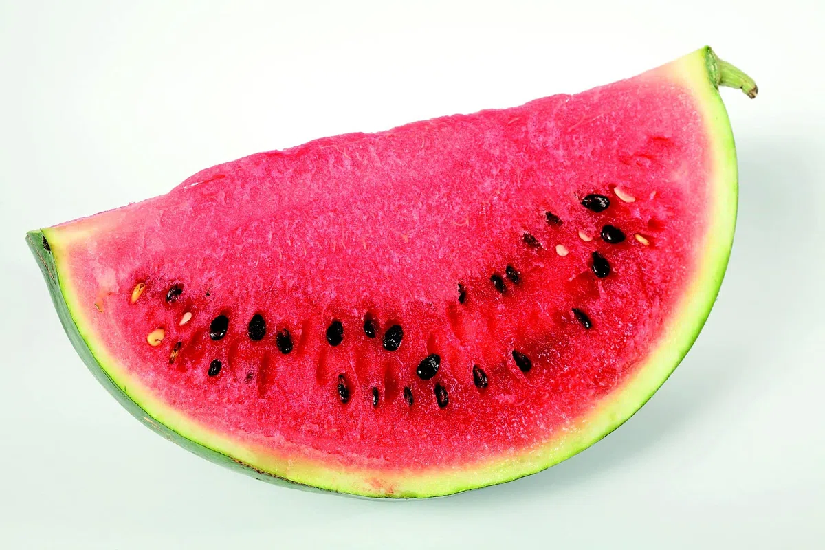 Wassermelonen Große Frucht