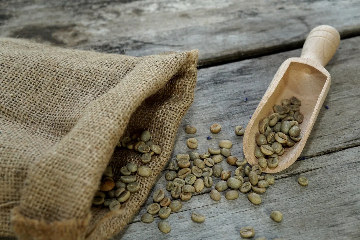 2 x 500 g Arabica Rohkaffee | Grüner Kaffee | roh | Spitzenkaffee | Kaffeebohnen | 1 kg
