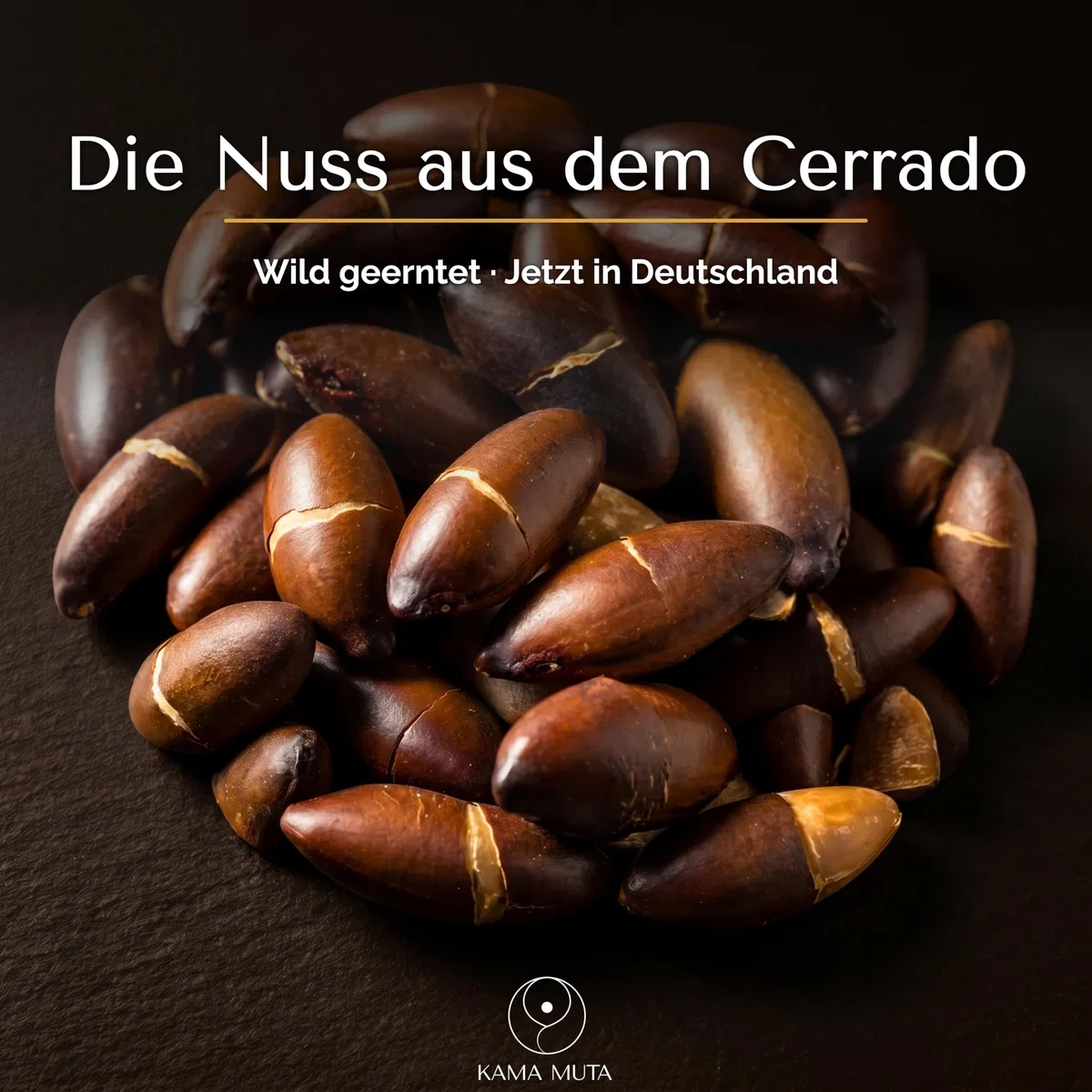 KAMA MUTA Baru-Nüsse 250g – geröstet & ungesalzen – pflanzliche Proteinquelle – reich an Ballaststoffen – wild geerntet im brasilianischen Cerrado