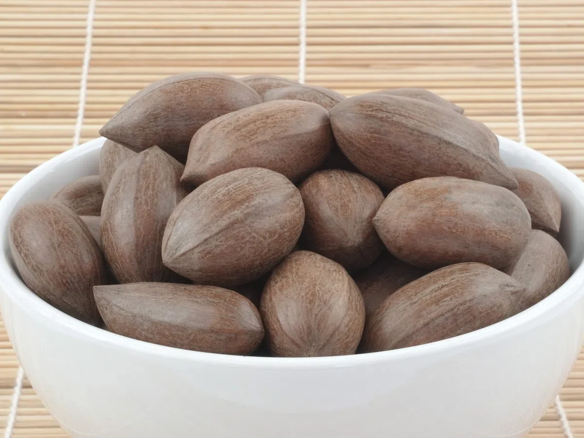 TALI Pekannüsse in der Schale 1 kg
